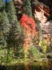 photo thumbnail #13