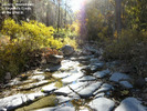 photo thumbnail #7
