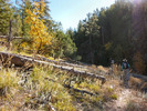 photo thumbnail #11