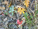 photo thumbnail #12