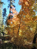 photo thumbnail #14