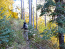 photo thumbnail #15