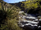 photo thumbnail #7
