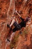 photo thumbnail #12