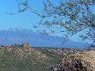 photo thumbnail #3