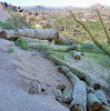 photo thumbnail #14