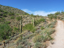 photo thumbnail #3