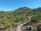 photo thumbnail #8