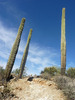 photo thumbnail #9