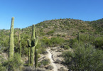 photo thumbnail #11