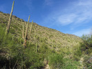 photo thumbnail #12