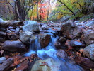 photo thumbnail #5