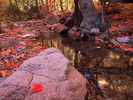 photo thumbnail #10