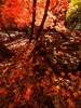 photo thumbnail #15
