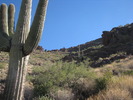 photo thumbnail #7