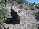 photo thumbnail #1