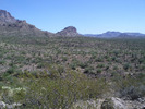 photo thumbnail #3