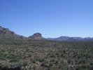 photo thumbnail #4