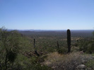 photo thumbnail #12