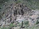 recent photo