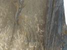 recent photo