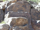 recent photo