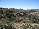 photo thumbnail #2