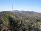 photo thumbnail #6