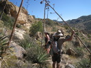 photo thumbnail #11