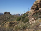 photo thumbnail #14