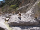 photo thumbnail #1