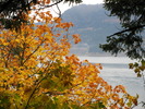 photo thumbnail #10