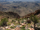 photo thumbnail #8
