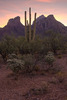 photo thumbnail #1