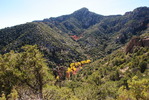 photo thumbnail #9