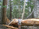 photo thumbnail #3