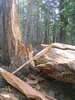 photo thumbnail #4