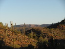 photo thumbnail #4