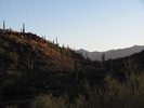 photo thumbnail #5