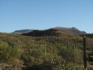 photo thumbnail #6