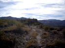 photo thumbnail #5