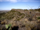 photo thumbnail #7