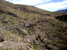 photo thumbnail #11