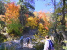 photo thumbnail #2