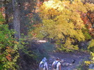 photo thumbnail #3