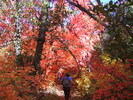 photo thumbnail #8