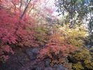 photo thumbnail #7