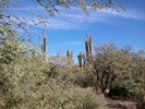 photo thumbnail #3