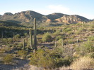 photo thumbnail #3