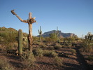 photo thumbnail #4